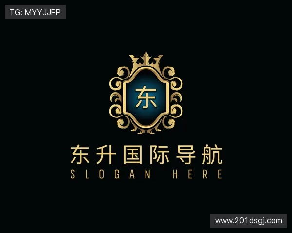 领悟东升国际导航